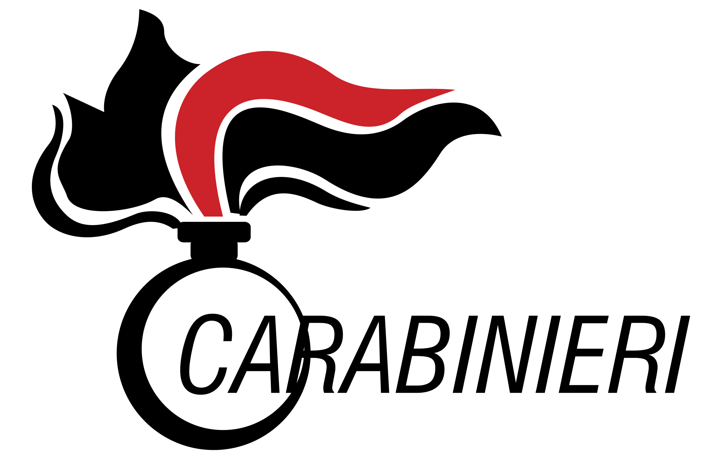 arma-dei-carabinieri-logo-png-transparent